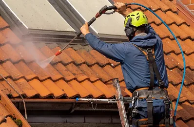 Démoussage et hydrofuge de toiture à Maussac
